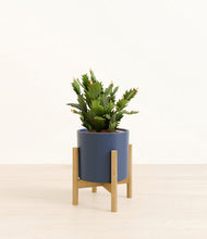 Load image into Gallery viewer, Deep Navy stand:bamboo