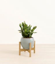 Load image into Gallery viewer, Deep Ocean stand:bamboo