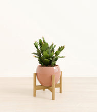Load image into Gallery viewer, Calm Rose stand:bamboo