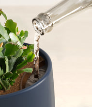 Load image into Gallery viewer, Deep Navy stand:all