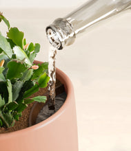 Load image into Gallery viewer, Calm Rose stand:all