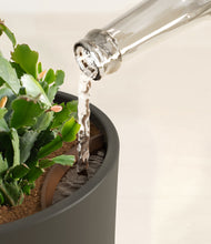 Load image into Gallery viewer, Dark Olive stand:all