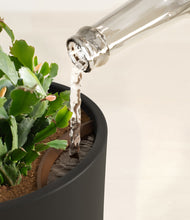 Load image into Gallery viewer, Black stand:all