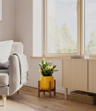 Load image into Gallery viewer, -Mustard stand:walnut