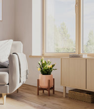 Load image into Gallery viewer, -Calm Rose stand:walnut