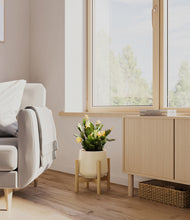 Load image into Gallery viewer, -Almond Green stand:bamboo