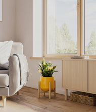 Load image into Gallery viewer, -Mustard stand:bamboo