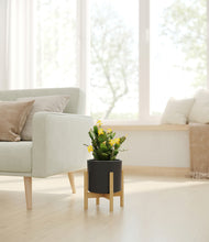 Load image into Gallery viewer, -Black stand:bamboo