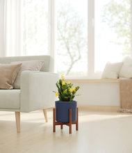 Load image into Gallery viewer, -Deep Navy stand:walnut