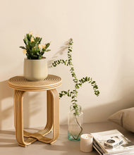 Load image into Gallery viewer, -Almond Green