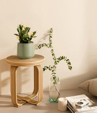 Load image into Gallery viewer, -Turquoise