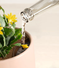 Load image into Gallery viewer, --