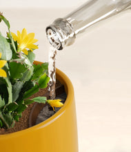 Load image into Gallery viewer, -Mustard stand:all