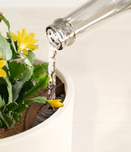 Load image into Gallery viewer, -Cream stand:all