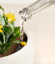 Load image into Gallery viewer, -Shiny EggWhite stand:all
