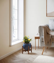 Load image into Gallery viewer, -Deep Navy stand:walnut