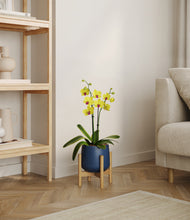 Load image into Gallery viewer, Deep Navy stand:bamboo