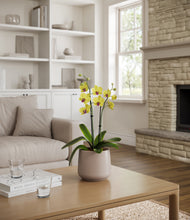 Load image into Gallery viewer, Eternal Gray