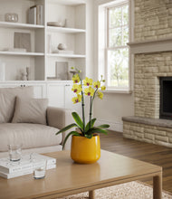 Load image into Gallery viewer, Mustard