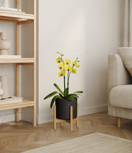 Load image into Gallery viewer, Black stand:bamboo