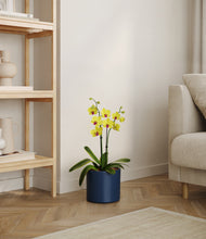 Load image into Gallery viewer, Deep Navy