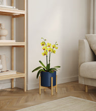 Load image into Gallery viewer, Deep Navy stand:bamboo