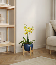 Load image into Gallery viewer, Deep Navy stand:bamboo