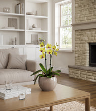 Load image into Gallery viewer, Winter Clouds