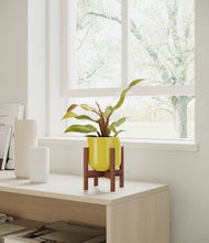 Load image into Gallery viewer, Key Lime Yellow stand:walnut