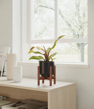 Load image into Gallery viewer, Stone Black stand:walnut
