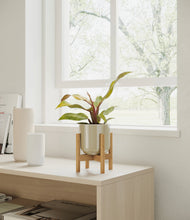 Load image into Gallery viewer, Sage Green stand:bamboo