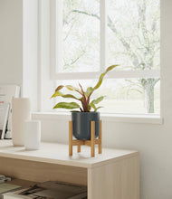 Load image into Gallery viewer, Iron Gray stand:bamboo
