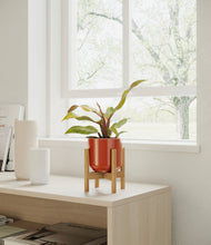 Load image into Gallery viewer, Glossy Red stand:bamboo