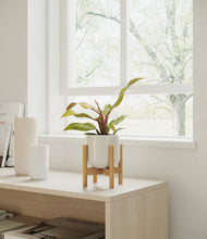 Load image into Gallery viewer, Cotton White stand:bamboo
