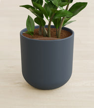 Load image into Gallery viewer, Iron Gray stand:all