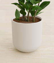 Load image into Gallery viewer, Natural Bamboo stand:all