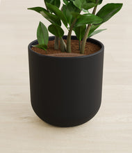 Load image into Gallery viewer, Stone Black stand:all