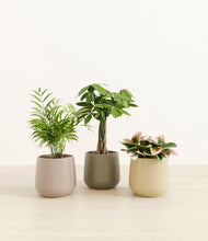 Load image into Gallery viewer, Woodland*****Profile