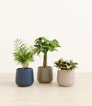 Load image into Gallery viewer, Winding River*****Profile