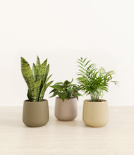 Load image into Gallery viewer, Woodland*****Profile