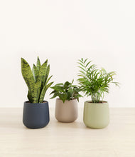 Load image into Gallery viewer, Winding River*****Profile