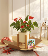 Load image into Gallery viewer, Anthurium Red