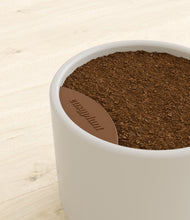 Load image into Gallery viewer, Natural Bamboo