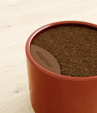 Load image into Gallery viewer, Glossy Red