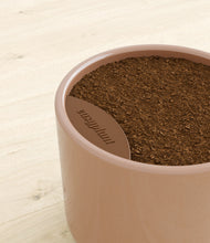 Load image into Gallery viewer, Glossy Pink