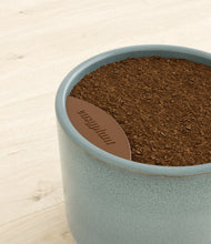 Load image into Gallery viewer, Reactive Aqua