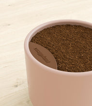 Load image into Gallery viewer, Sandy Pink