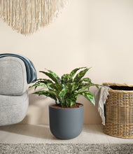 Load image into Gallery viewer, Iron Gray