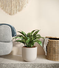 Load image into Gallery viewer, Natural Bamboo