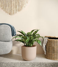 Load image into Gallery viewer, Sandy Pink